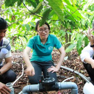 Tìm hiểu mô hình tưới nước tự động cho cà phê tiết kiệm nước ở Lâm Đồng 1