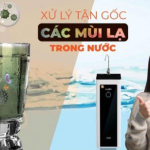 Tư vấn các xử lý nước máy có mùi lạ tại TP Vinh, Nghệ An 1