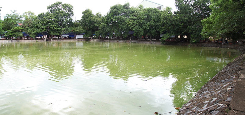 Cần xử lý nước hồ Bình Sơn Hà Tĩnh đang ngày càng ô nhiễm nghiêm trọng 1